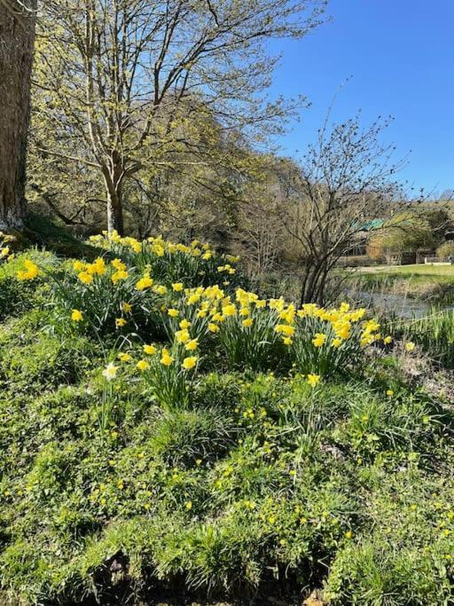 Fordview Cottage Is Full Of Cotwolds Charm Upper Slaughter Εξωτερικό φωτογραφία